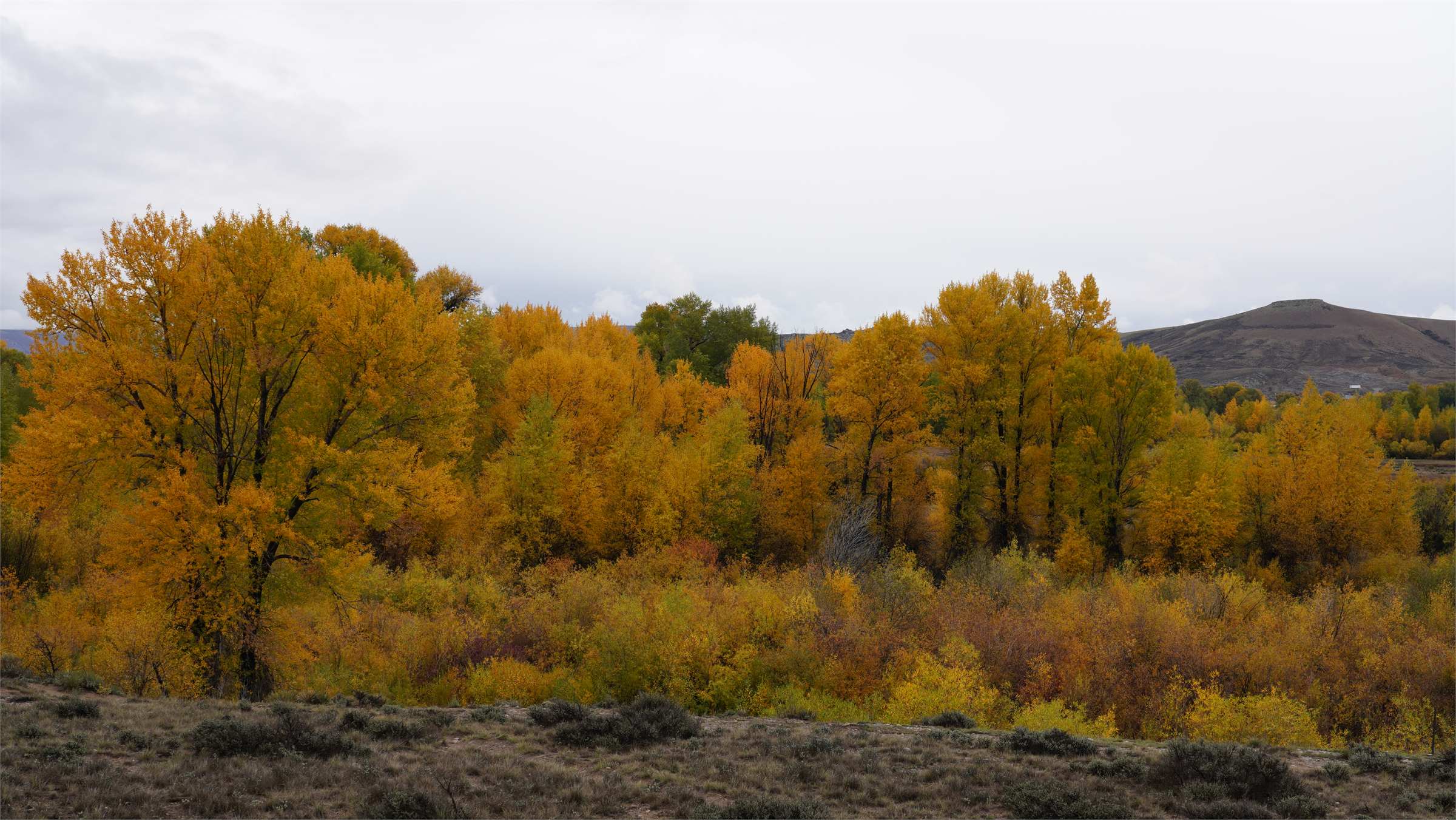 DSC07298.JPG
