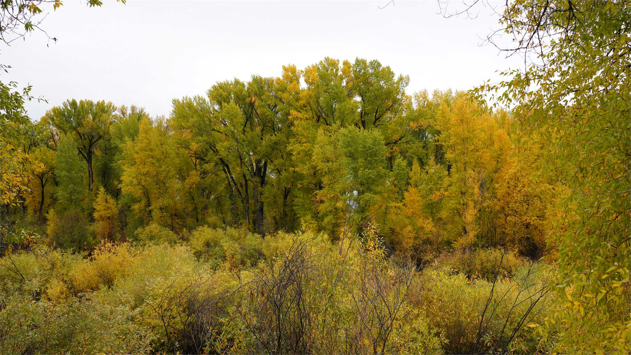 DSC07280.JPG