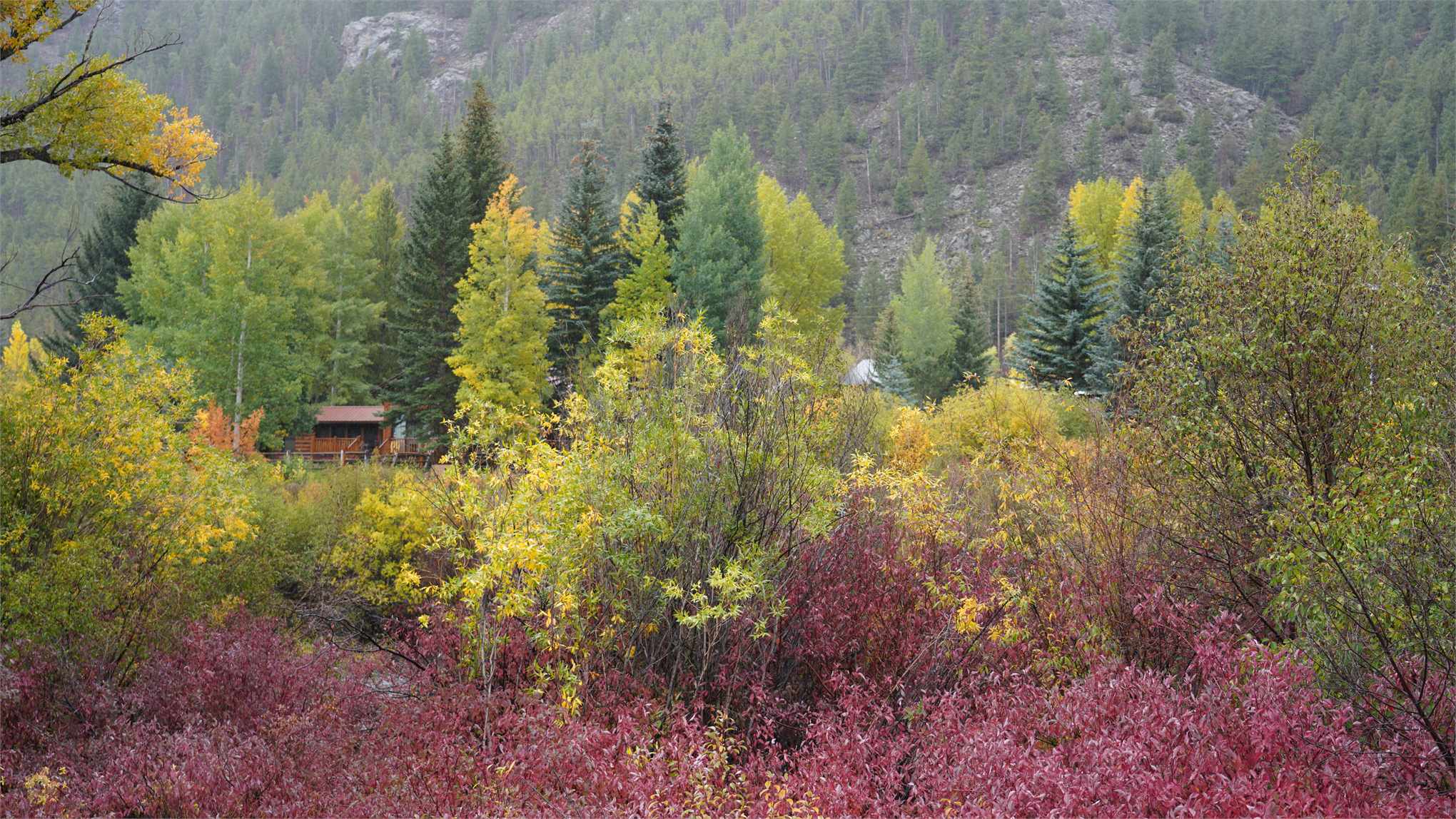 DSC07560.JPG