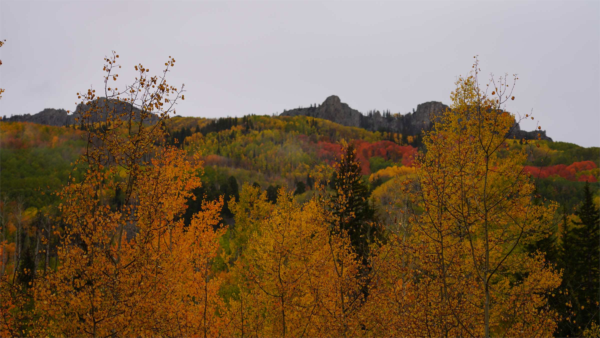 DSC07675.JPG