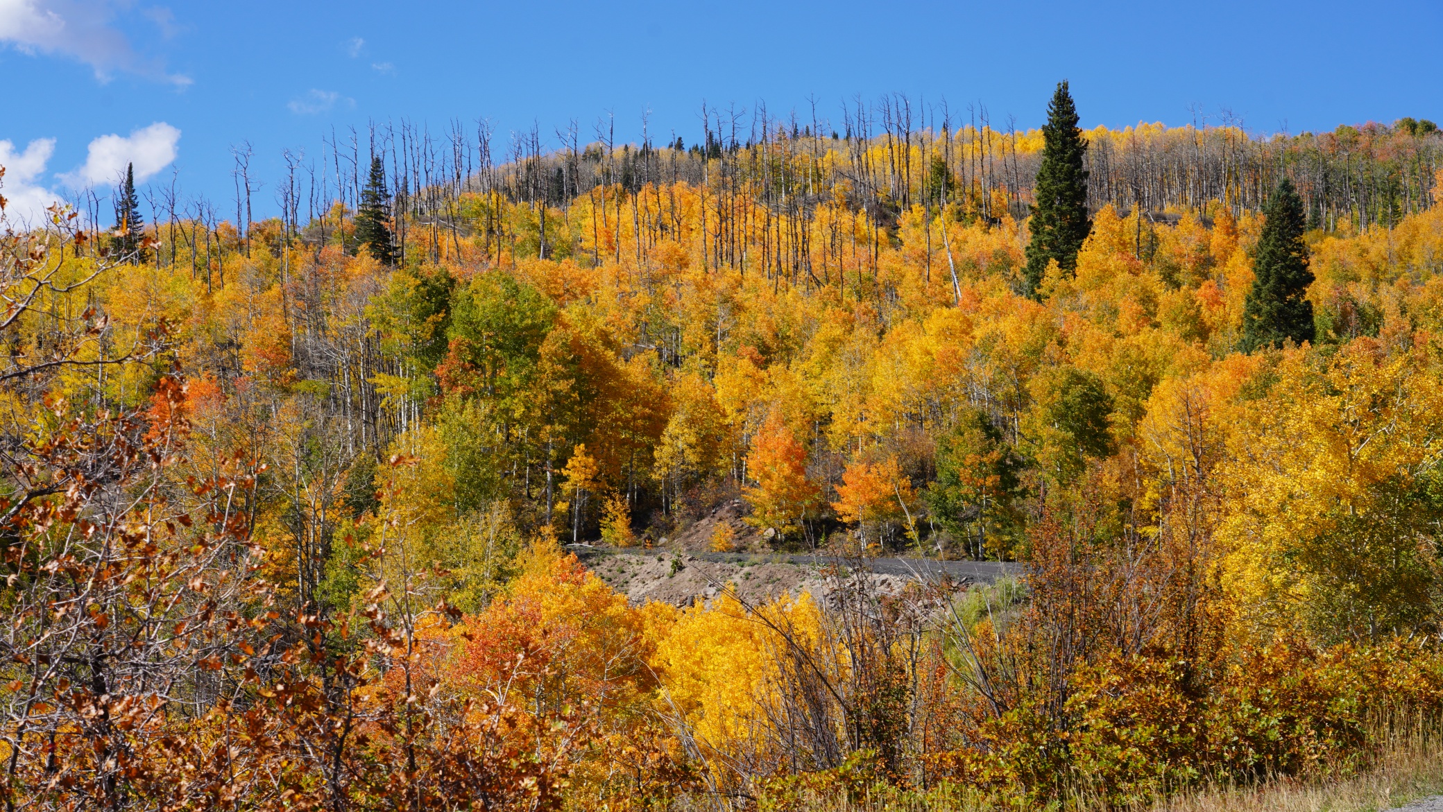 DSC08576.JPG