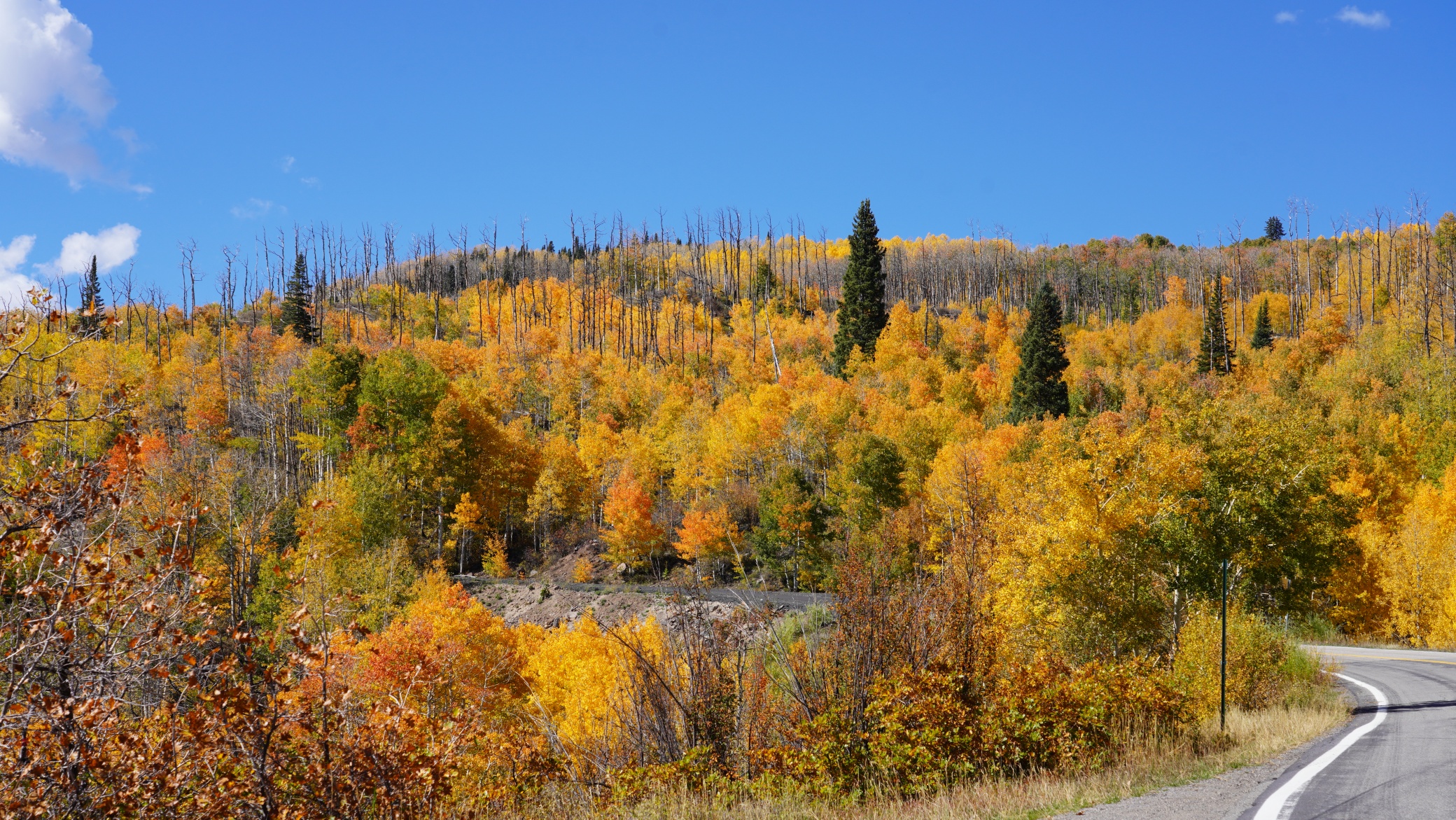 DSC08579.JPG
