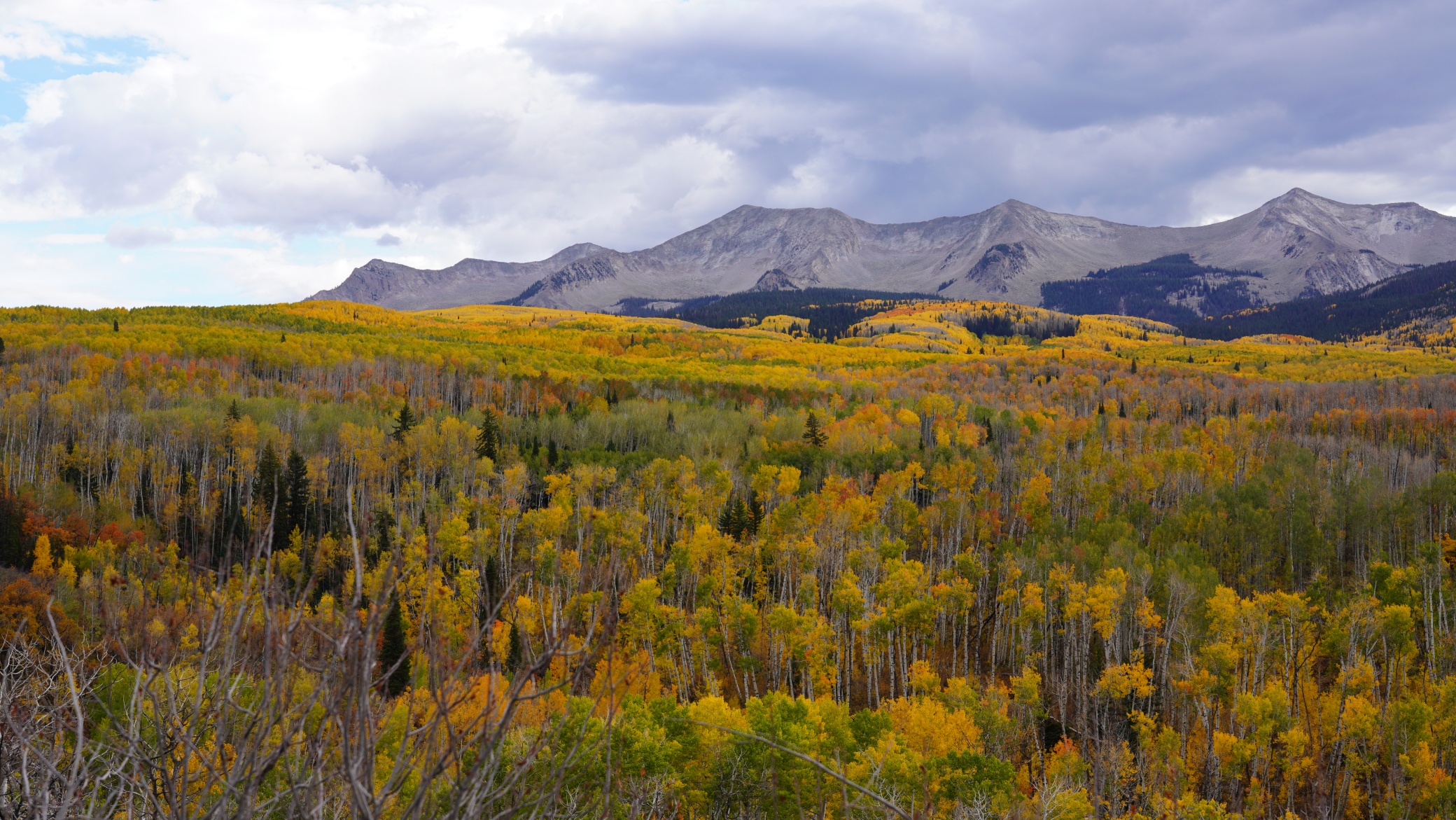 DSC08761.JPG