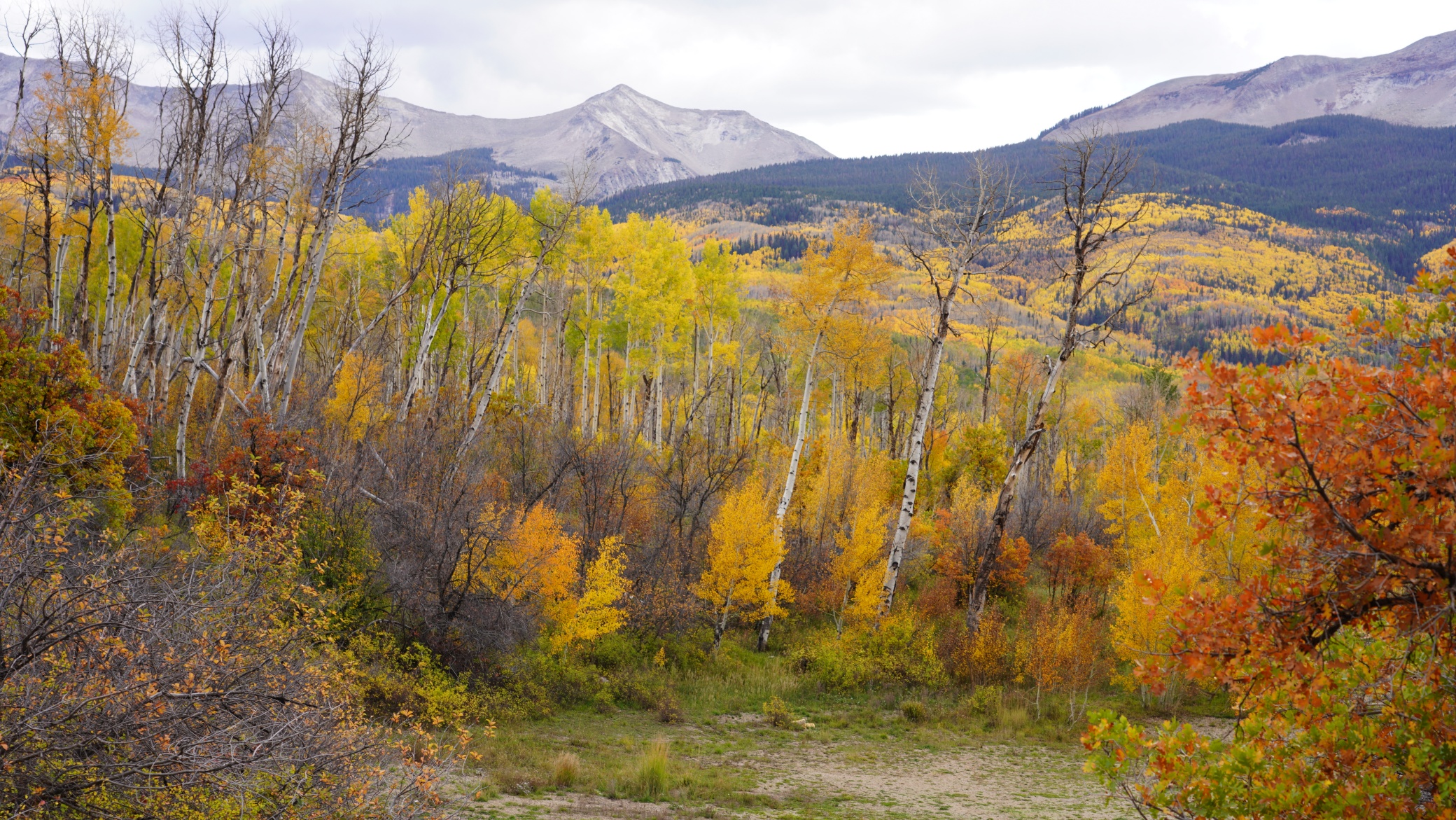 DSC08742.JPG